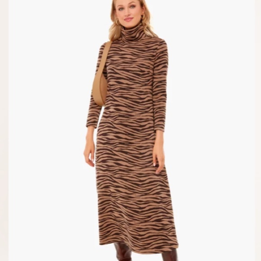 Tuckernuck Brown and Black Zebra Print Maxi Dress